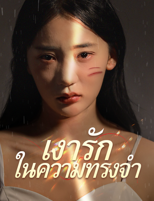 เงารักในความทรงจำ